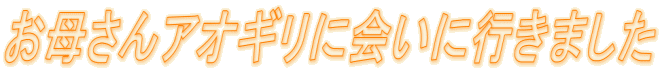 ���ꂳ��A�I�M���ɉ�ɍs���܂��� 