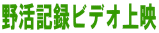 �슈�L�^�r�f�I��f