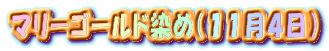 }[S[h߁iPPSj 